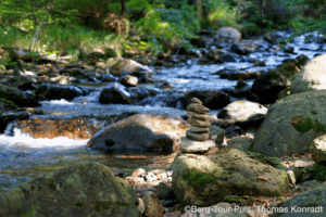 Ruhiger Fluss mit Steinen, umgeben von grüner Natur, ideal für Wander- und Naturfreunde.