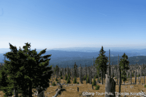 Bergpanorama mit Blick auf die Berge und Wälder im Nationalpark, ideal für Wander- und Naturfreunde.