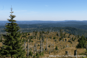 Berglandschaft im Nationalpark mit Kiefern und weiten Ausblick.