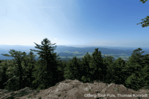 Berglandschaft mit Wald, Bäumen und weiter Fernsicht bei schönem Wetter.