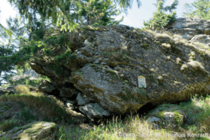 Felsen im Wald mit Wanderwegmarkierung.