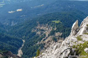 Blick auf das Felsenmeer und den umliegenden Wald im Gebirge.
