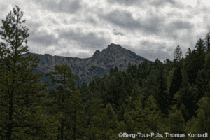 Bergtour in den Bergen mit Wald und Gipfel im Hintergrund.