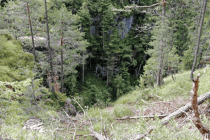 Bergtour im Wald mit Blick auf Felsen und grüne Natur.