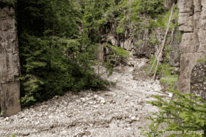 Bergtour in der Natur mit Felsen und Bäumen im Hintergrund.