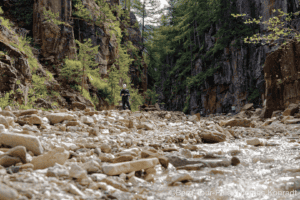 Bergtour im Canyon mit Fluss und Felsen, umgeben von Nadelbäumen.