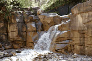 Bergwasser fließt zwischen Felsen im Nationalpark, umgeben von Bäumen und Natur.