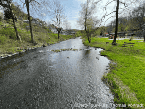 Bergtour-Puls.de, Flusslandschaft mit Bäumen und Wiesen im Frühling, ruhiges Naturbild.
