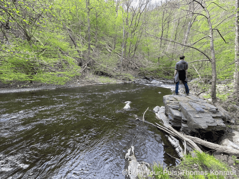 Abschied vom Fluss in einem grünen Waldgebiet, Wanderer steht auf einem Felsen am Wasser.