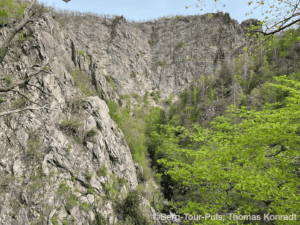 Bergwandern in den Bergen mit grünen Bäumen und Felsen.
