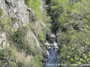 Bergbach im Grünen, umgeben von Felsen und Bäumen, bei einer Bergtour in der Natur.