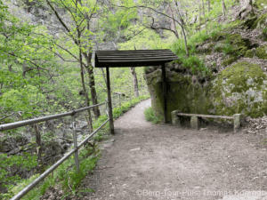 Bergpfad im grünen Wald mit Holzüberdachung und Geländer.