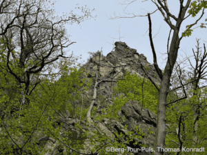 Bergtour inmitten von Bäumen und Felsen, Naturerlebnis in den Bergen.